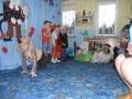 sam_2349