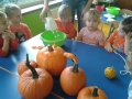 20151027_110824