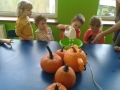 20151027_110844