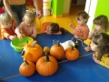 20151027_111227