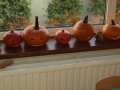 dsc01735