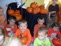 sam_1441