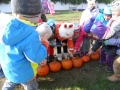 sam_1462