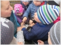 img_2122-20170419