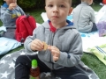 sam_4249